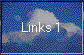 Links 1